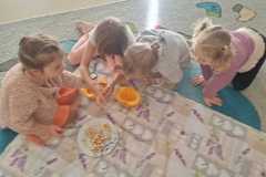 WhatsApp-Image-2026-10-16-at-11.03.50-2