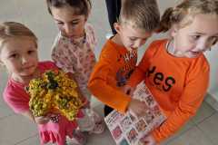 WhatsApp-Image-2026-10-16-at-11.26.11-2