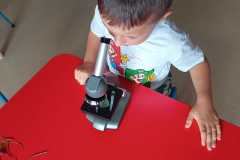 WhatsApp-Image-2026-09-17-at-13.33.18