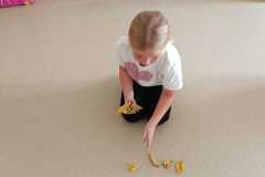 WhatsApp-Image-2026-09-23-at-13.40.51