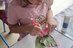 WhatsApp-Image-2026-09-23-at-13.45.31-2