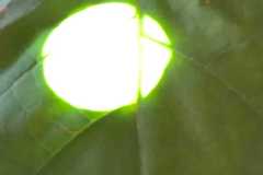 WhatsApp-Image-2026-09-24-at-15.03.32