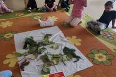 WhatsApp-Image-2026-09-25-at-16.08.26-3